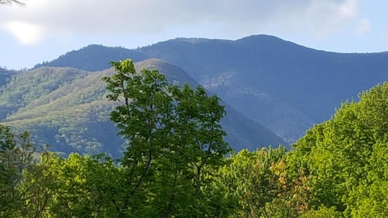 Mountain Serenity Gatlinburg Luaran gambar
